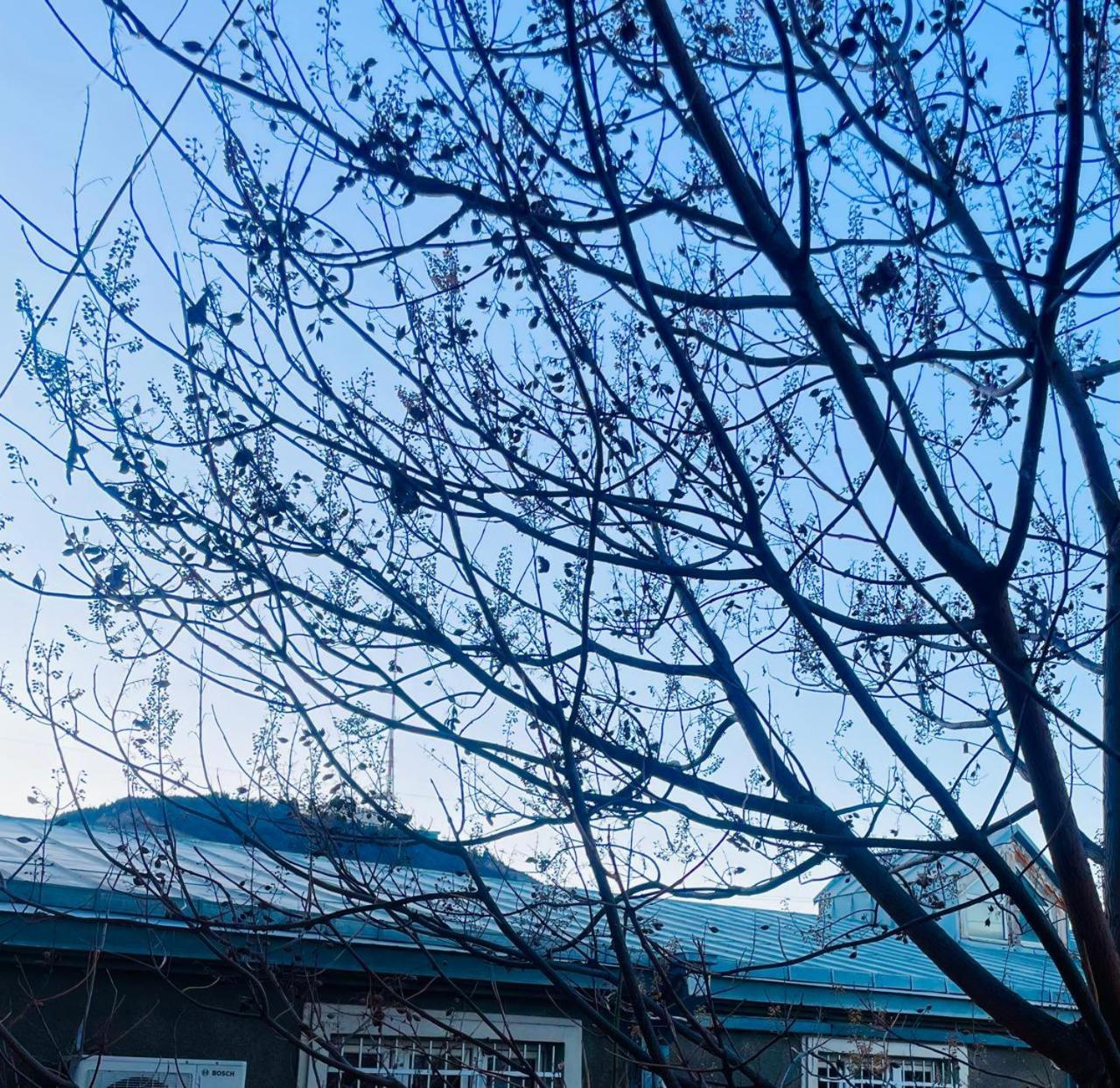 Art Hotel Tabidze Тбилиси Экстерьер фото